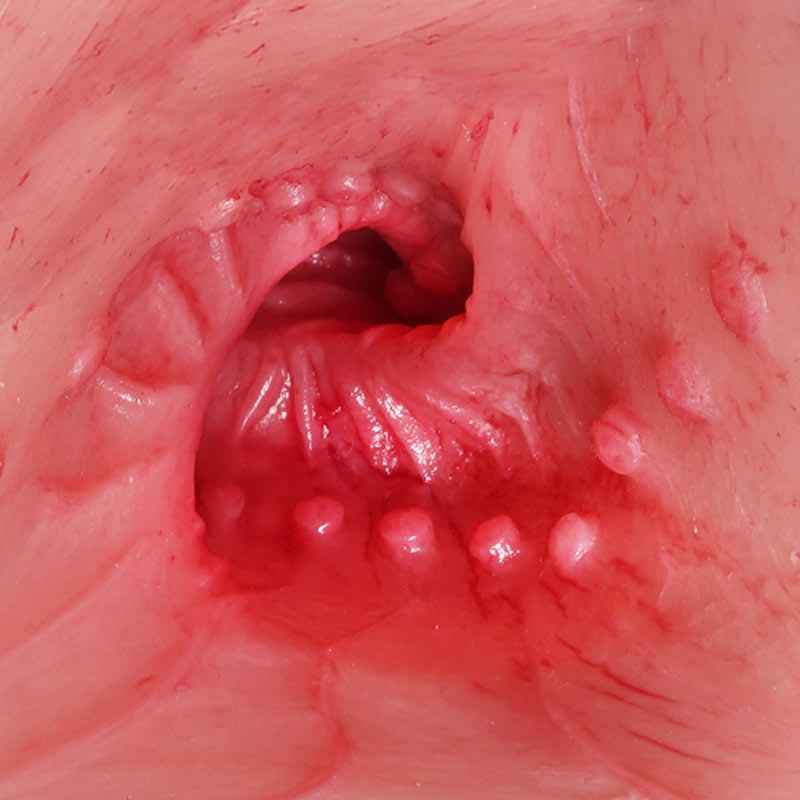 Tantaly Jennifer - Premium TPE Sex Torso - 2