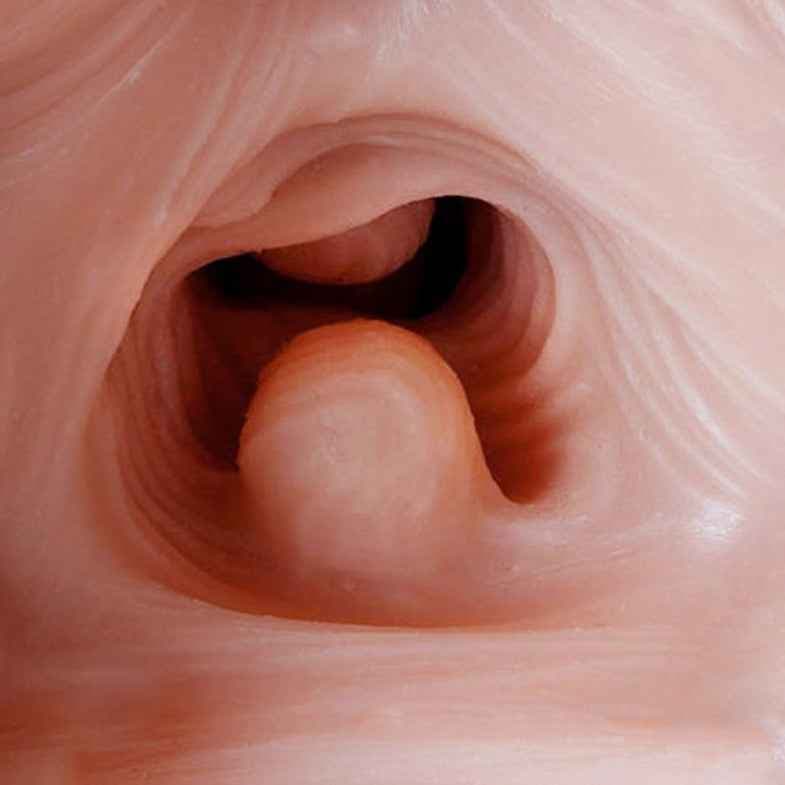 Tantaly Sex Torso Cecilia