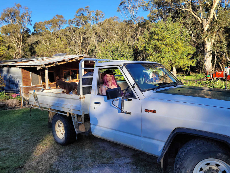 Starpery Silikonpuppe Queen Konfiguriert Starpery kaufen Sexroboter KI