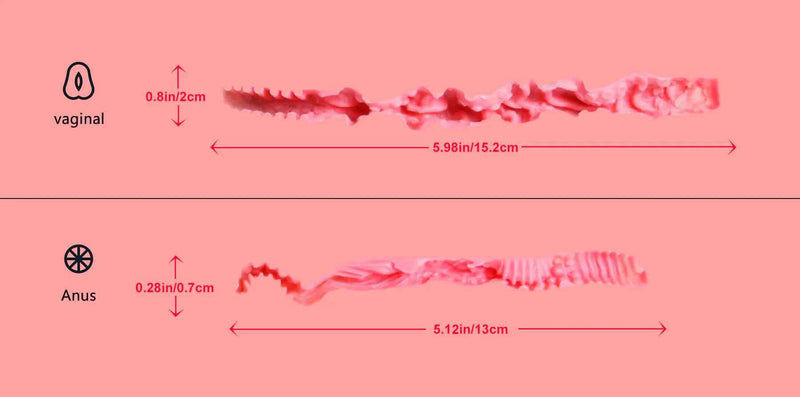 Tantaly Sex Torso Candice Konfiguriert Tantaly kaufen Sexroboter KI